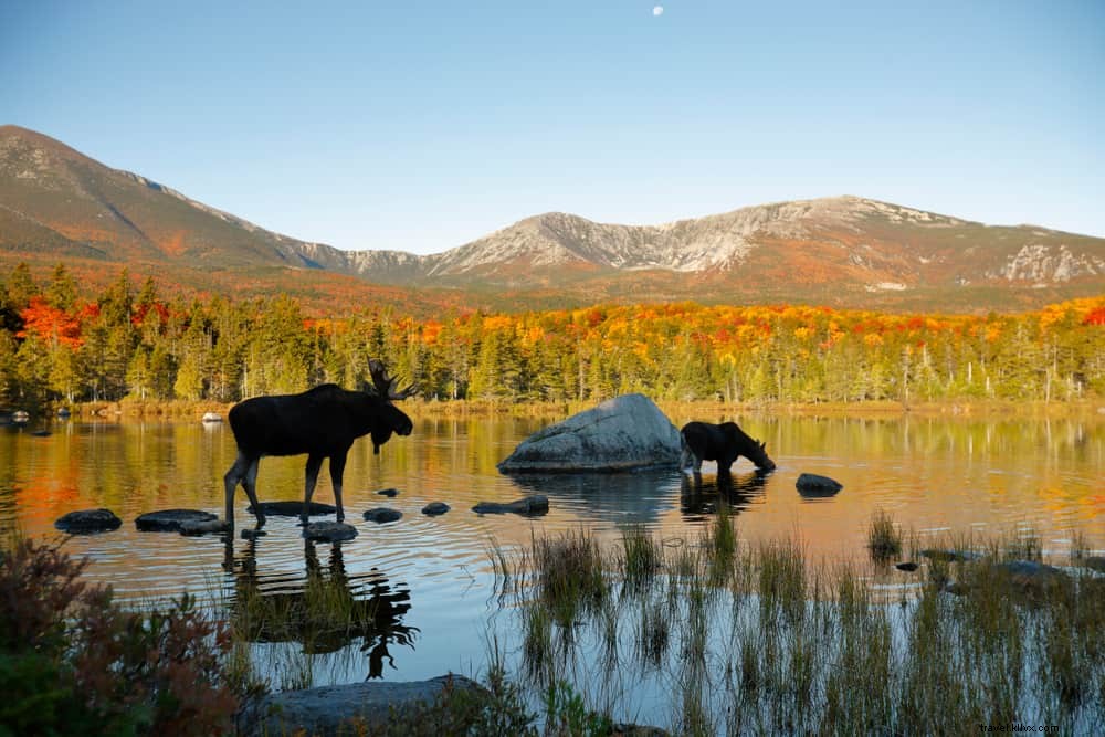 15 Most Beautiful Places to Visit in Maine: The Ultimate Guide