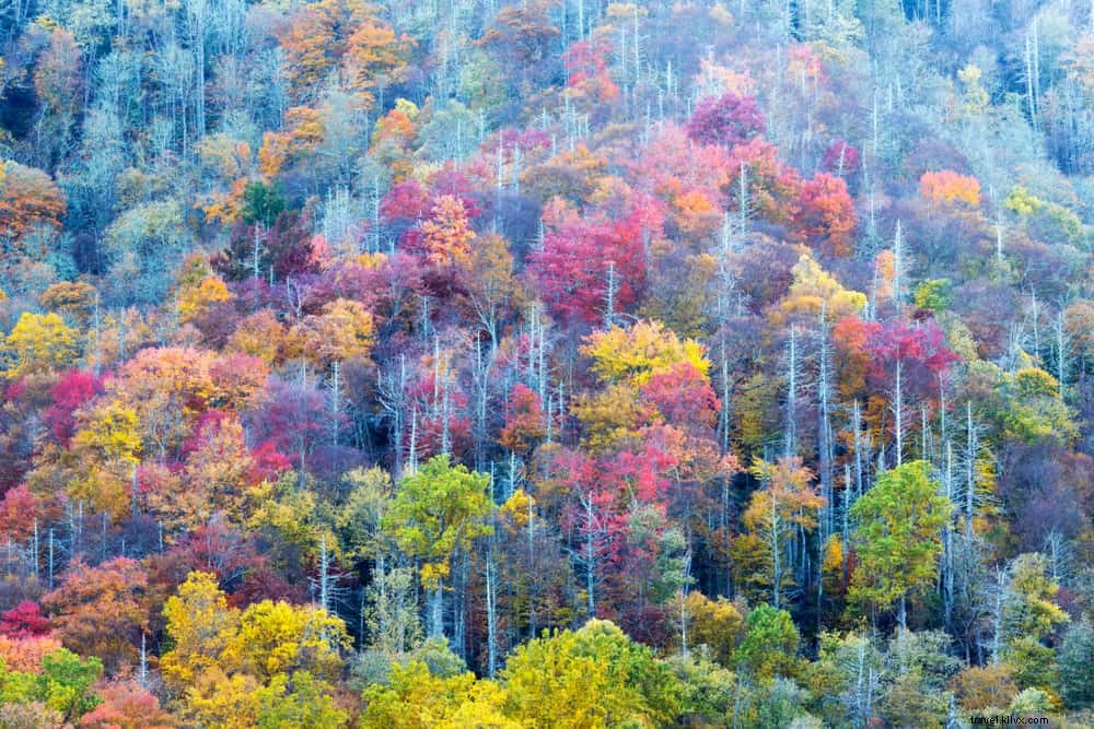 15 Most Beautiful Places to Visit in Tennessee: A Traveler s Guide