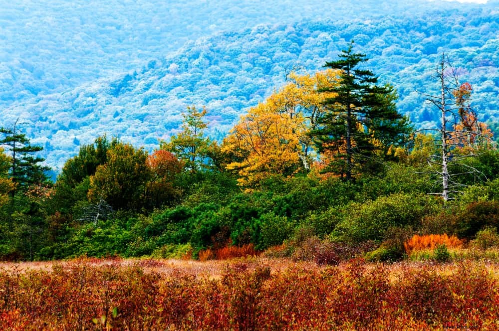 16 Stunning West Virginia Destinations You Must See