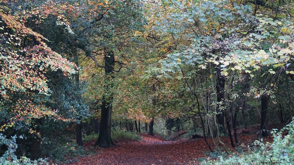 15 Most Beautiful Places to Visit in Bristol: A Local s Expert Guide