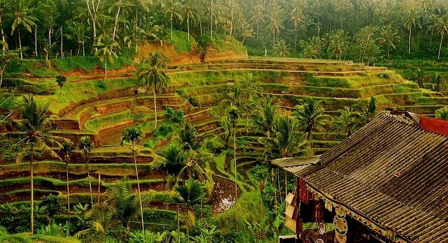Top 20 Most Beautiful Places to Visit in Bali: Expert Guide from Seasoned Travelers