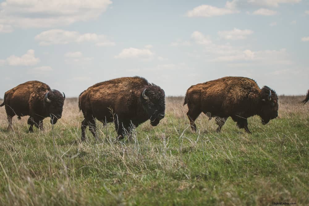 17 Stunning Places to Visit in Oklahoma: Natural Wonders and Hidden Gems