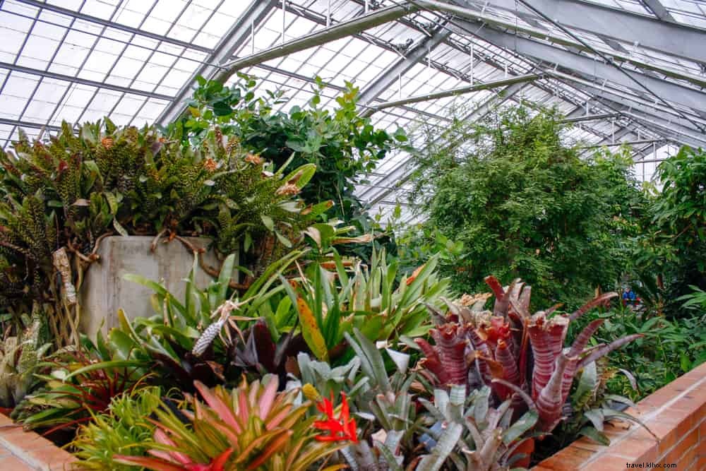 24 Breathtaking Places to Visit in Michigan: Beaches, Parks, Lighthouses & More