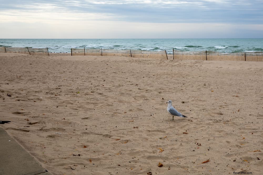 24 Breathtaking Places to Visit in Michigan: Beaches, Parks, Lighthouses & More