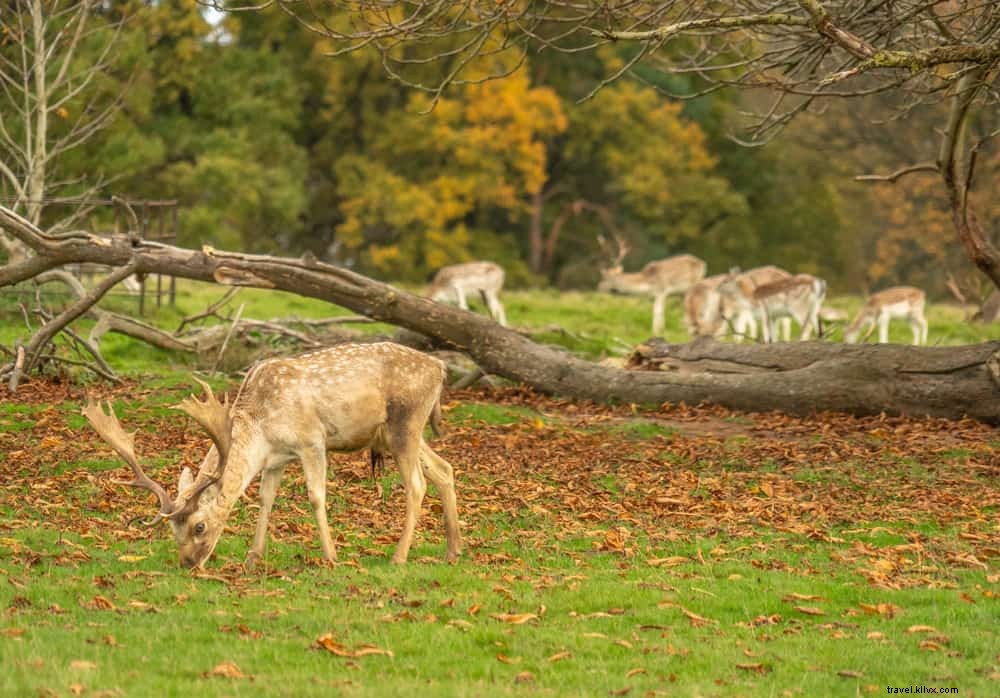 The 17 Most Beautiful Places to Visit in Shropshire
