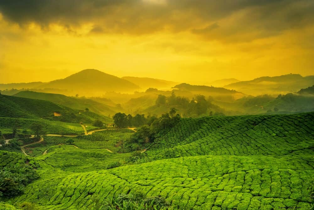 19 Most Beautiful Places to Visit in Malaysia: Stunning Destinations for Every Traveler