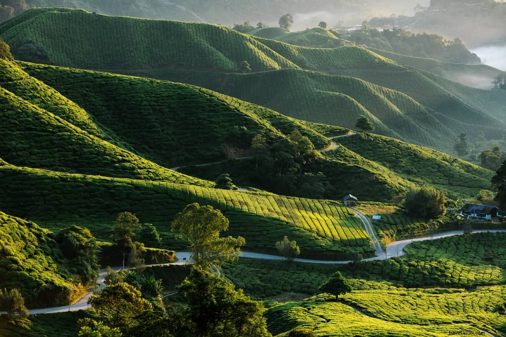 19 Most Beautiful Places to Visit in Malaysia: Stunning Destinations for Every Traveler