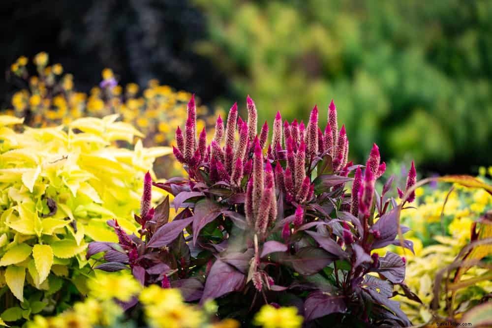 17 Most Beautiful Places to Visit in Kentucky: Stunning Gems of the Bluegrass State