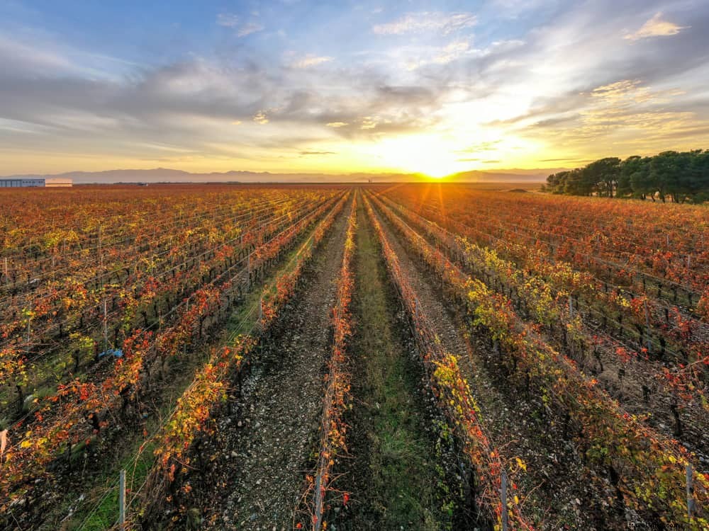 15 Stunning Places to Visit in Montenegro: Hidden Gems of the Balkans