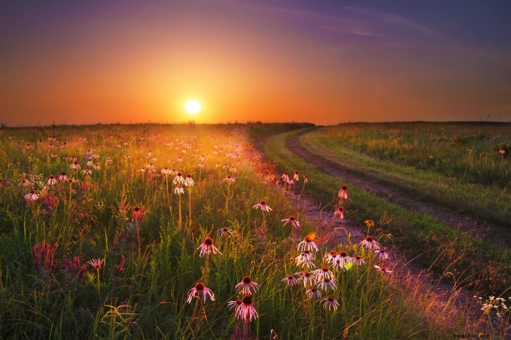 21 Most Stunning Places to Visit in Missouri: Nature, History, and Hidden Gems