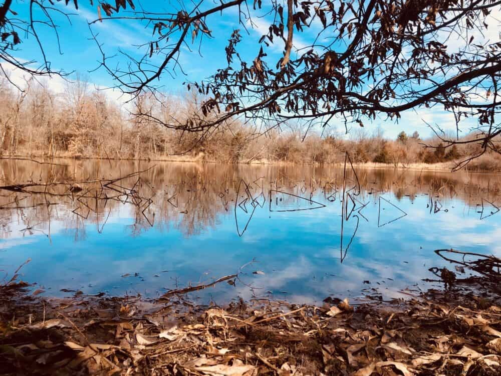 21 Most Stunning Places to Visit in Missouri: Nature, History, and Hidden Gems