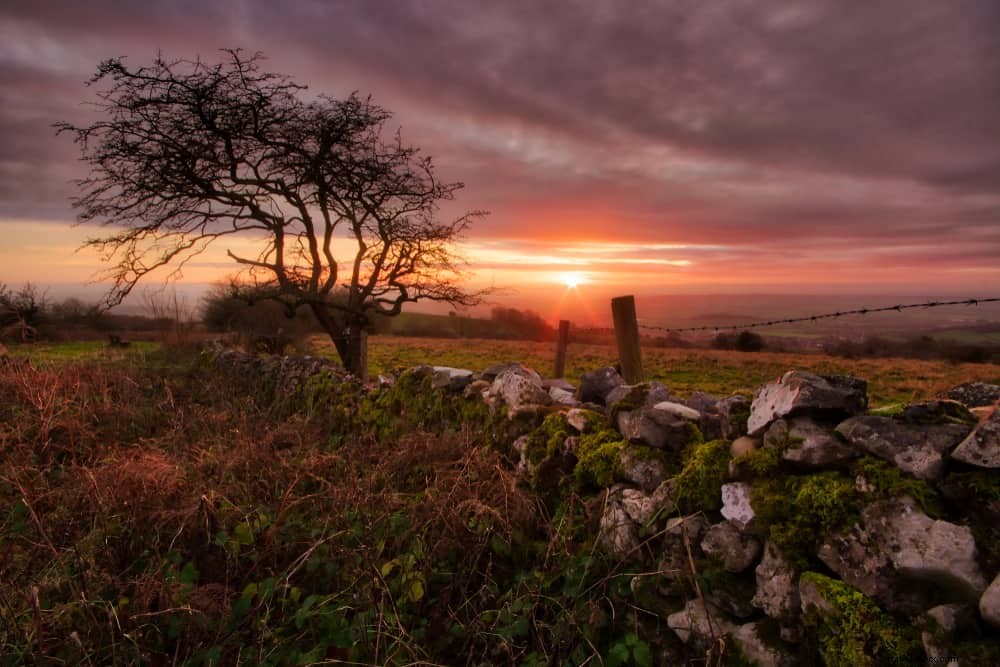 Discover 15 of the Most Beautiful Places to Visit in Somerset