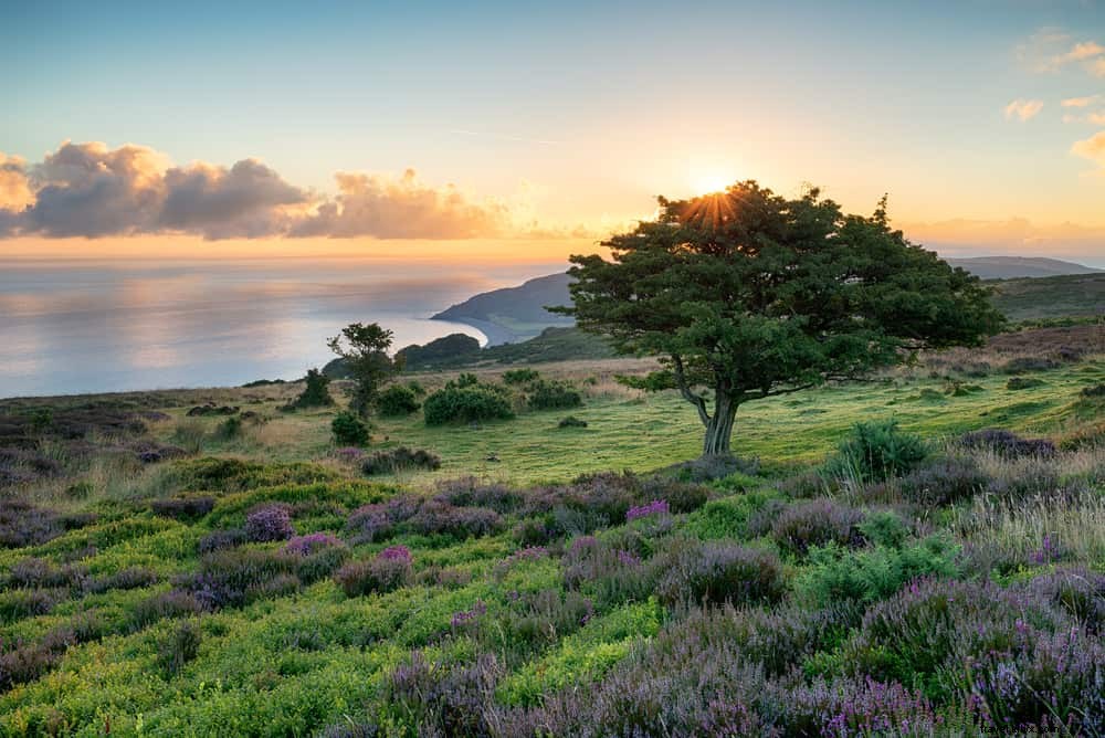 Discover 15 of the Most Beautiful Places to Visit in Somerset