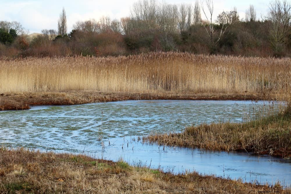 Discover the 15 Most Beautiful Places to Visit in Warwickshire