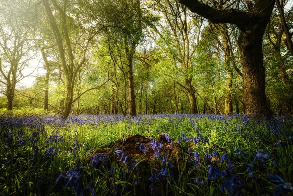 Discover the 15 Most Beautiful Places to Visit in Warwickshire