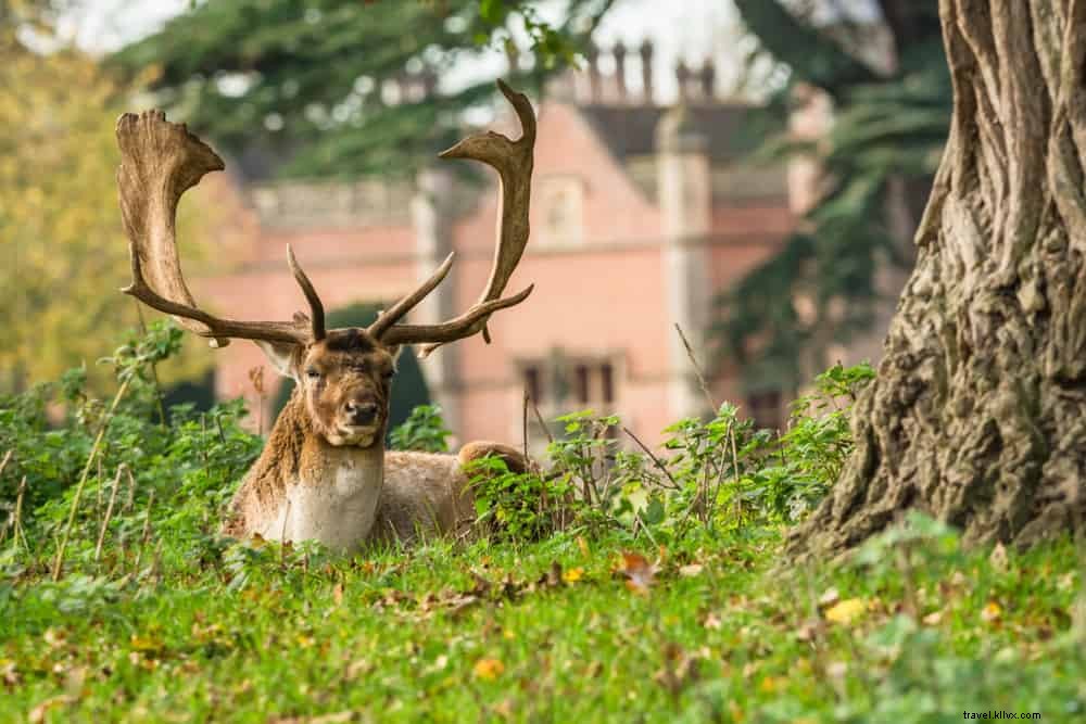 Discover the 15 Most Beautiful Places to Visit in Warwickshire