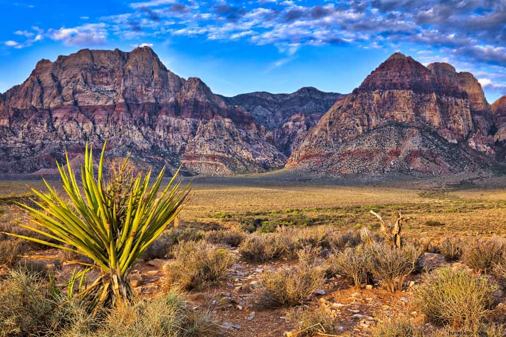 15 Most Beautiful Places to Visit in Nevada: Hidden Gems Beyond Las Vegas