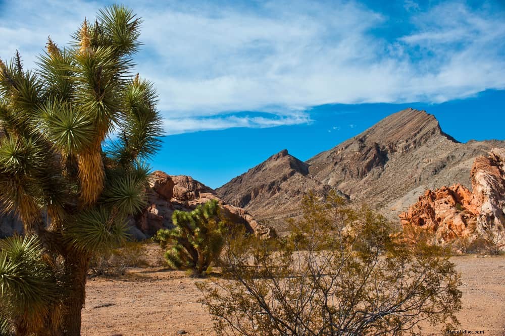 15 Most Beautiful Places to Visit in Nevada: Hidden Gems Beyond Las Vegas