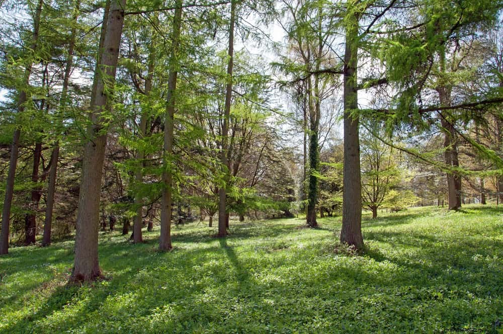 15 Most Beautiful Places to Visit in Herefordshire: Scenic Wonders and Historic Gems