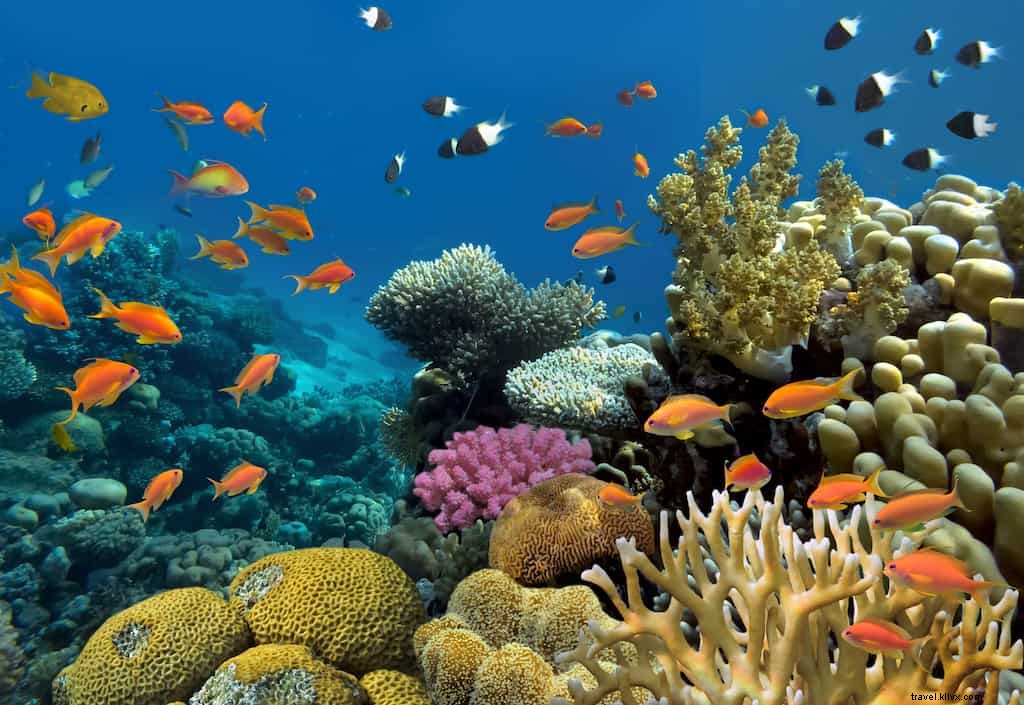 20 Most Beautiful Places to Visit in Egypt: Iconic Wonders and Hidden Gems