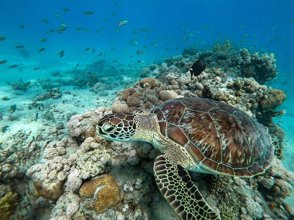 20 Most Beautiful Places to Visit in Egypt: Iconic Wonders and Hidden Gems