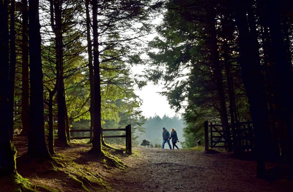 15 Must-Visit Scenic Gems in Lancashire