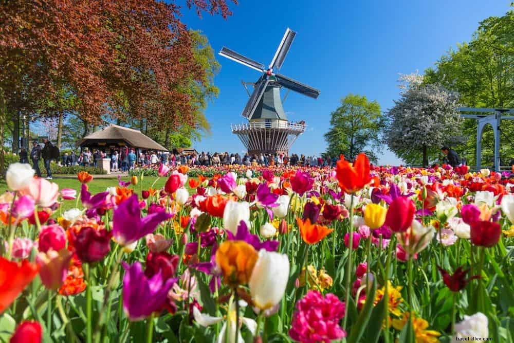 20 Most Beautiful Places to Visit in the Netherlands: Ultimate Guide