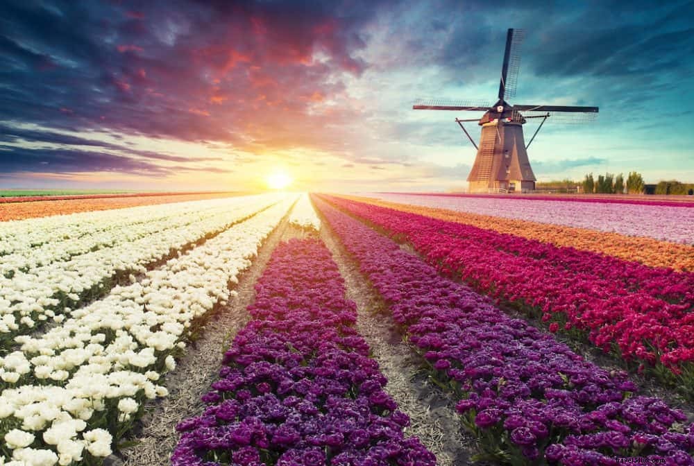 20 Most Beautiful Places to Visit in the Netherlands: Ultimate Guide