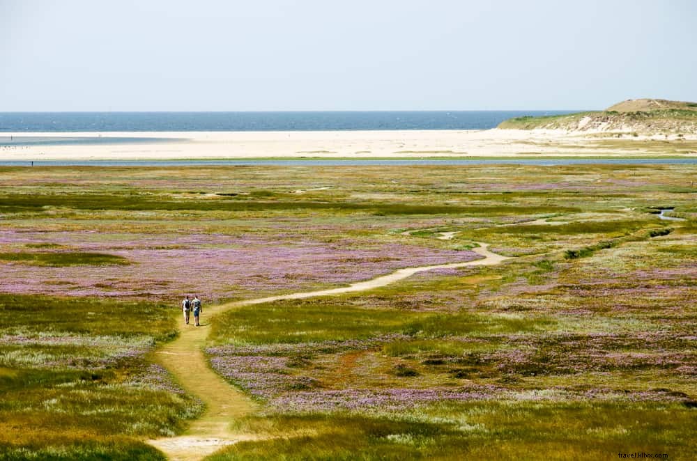 20 Most Beautiful Places to Visit in the Netherlands: Ultimate Guide