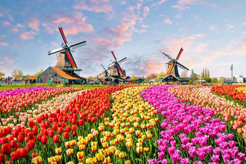 20 Most Beautiful Places to Visit in the Netherlands: Ultimate Guide