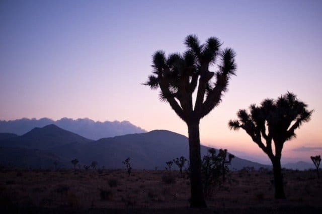 21 Most Beautiful Places to Visit in California: Ultimate Travel Guide