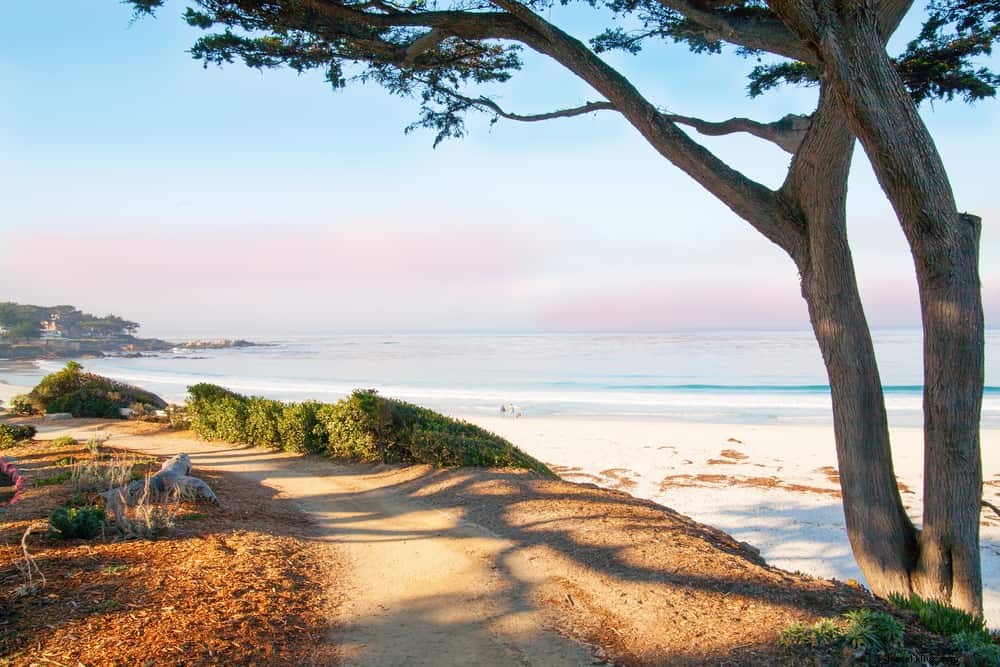 21 Most Beautiful Places to Visit in California: Ultimate Travel Guide