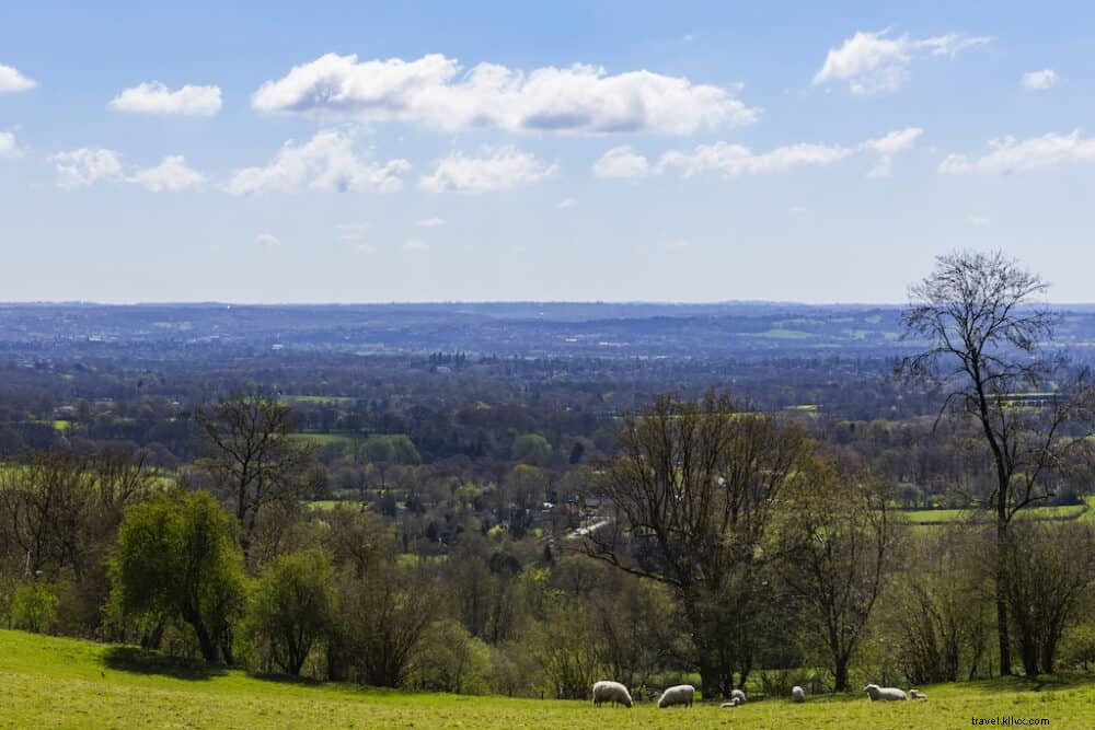Top 15 Most Beautiful Places to Visit in Kent, England s Garden of England