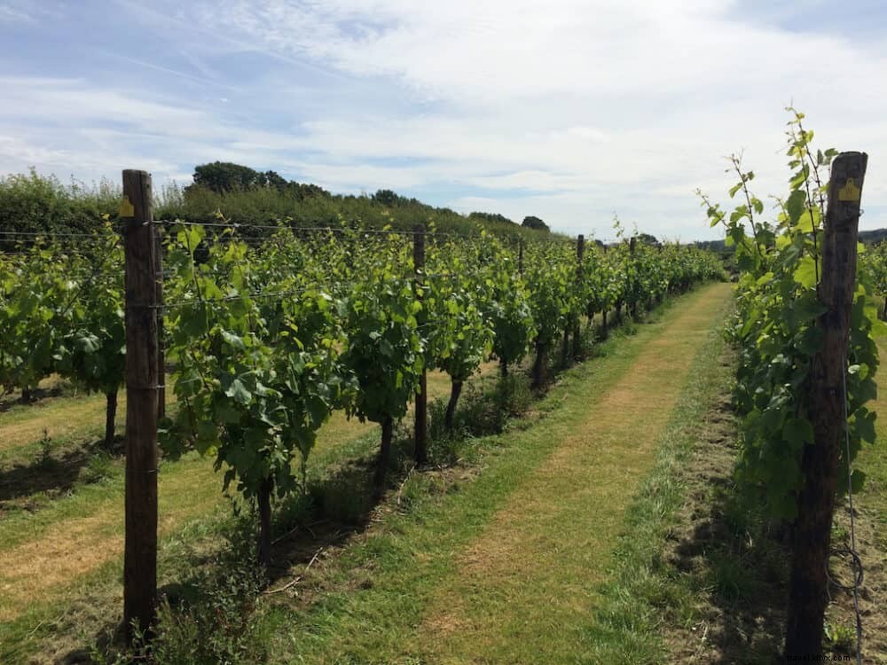 Top 15 Most Beautiful Places to Visit in Kent, England s Garden of England