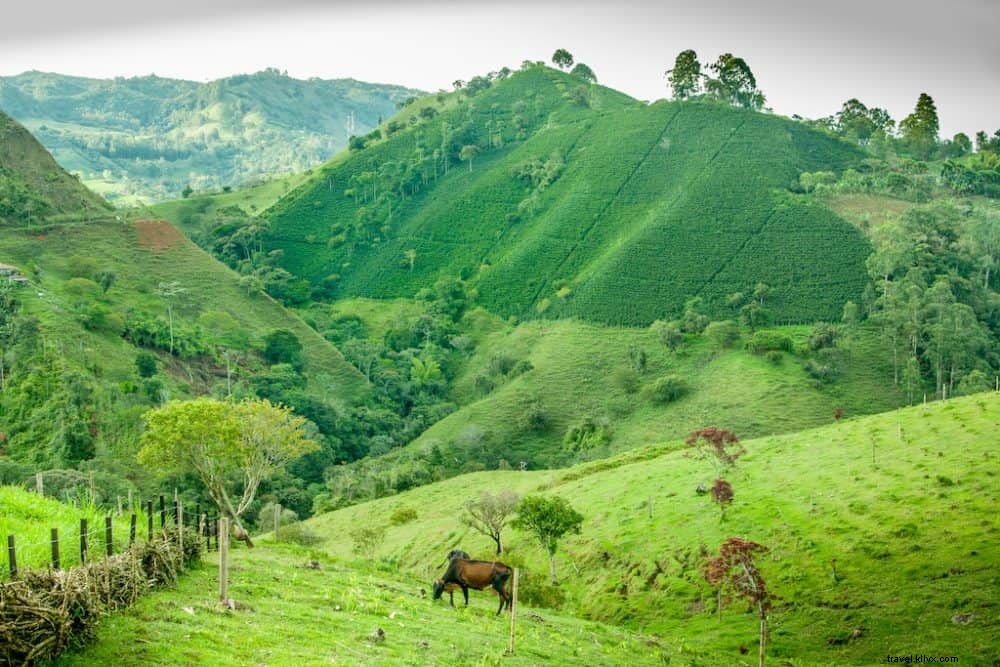Top 20 Stunning Destinations to Explore in Colombia