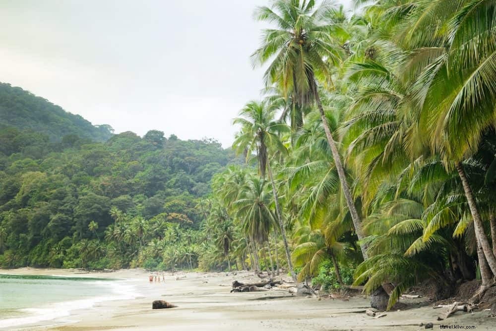 Top 20 Stunning Destinations to Explore in Colombia