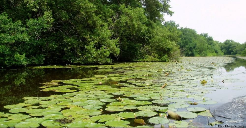 Top 20 Stunning Destinations to Explore in Colombia