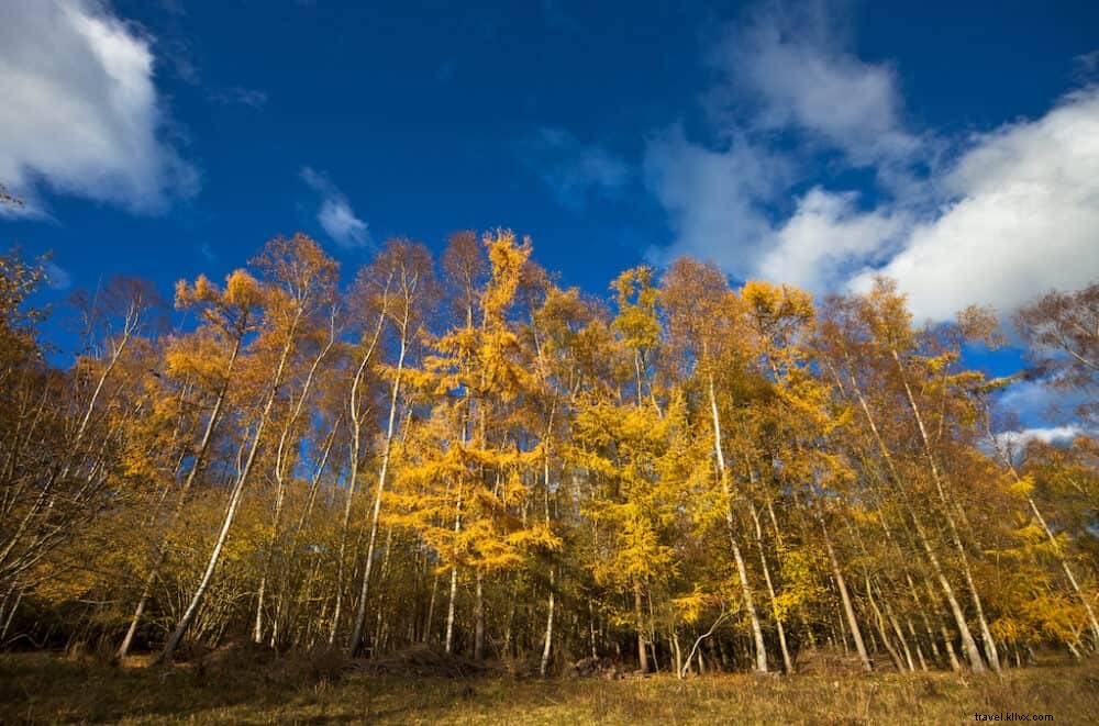 Discover Buckinghamshire: 21 Must‑See Scenic Destinations