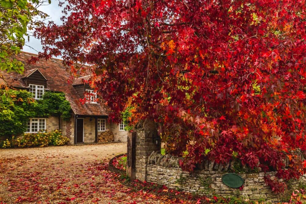 20 Best Places to Visit in the UK This Autumn: Stunning Fall Foliage and Scenic Spots