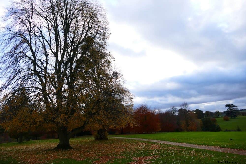 20 Best Places to Visit in the UK This Autumn: Stunning Fall Foliage and Scenic Spots