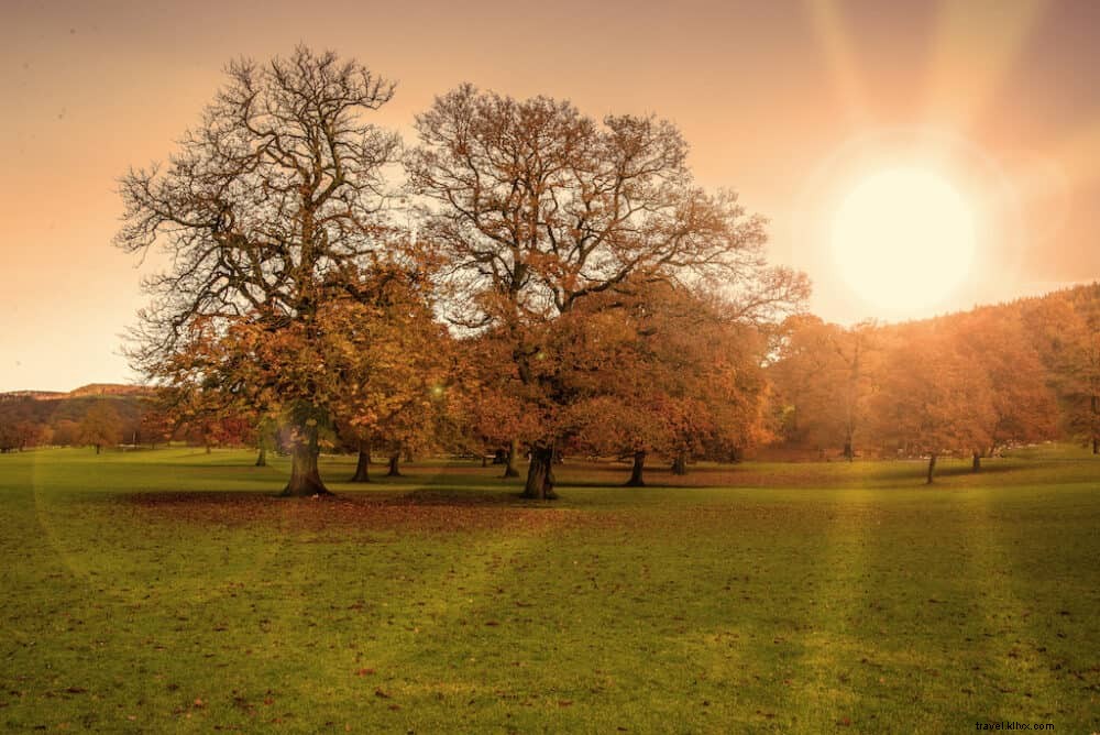 20 Best Places to Visit in the UK This Autumn: Stunning Fall Foliage and Scenic Spots