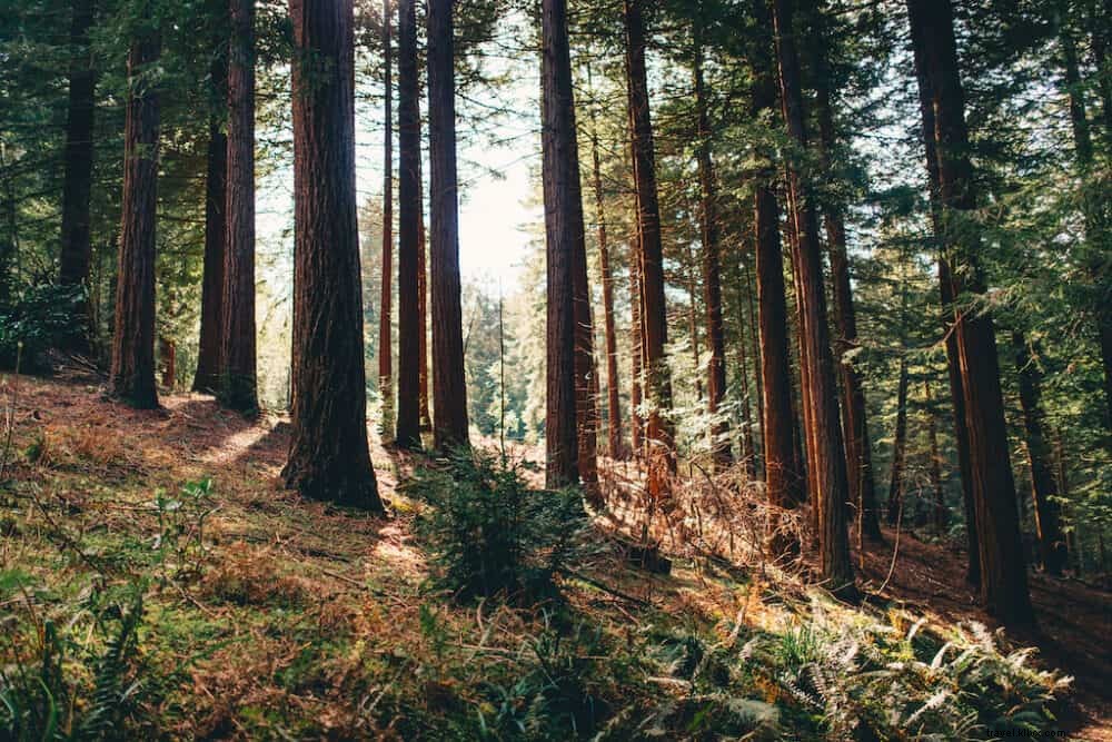 20 Best Places to Visit in the UK This Autumn: Stunning Fall Foliage and Scenic Spots