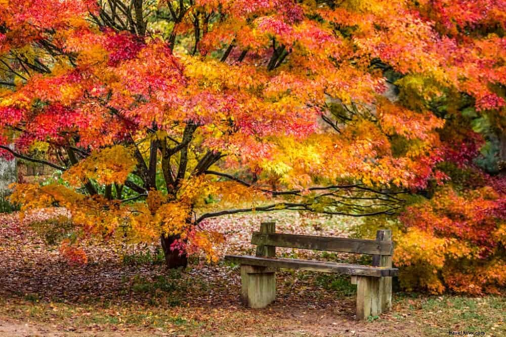 20 Best Places to Visit in the UK This Autumn: Stunning Fall Foliage and Scenic Spots