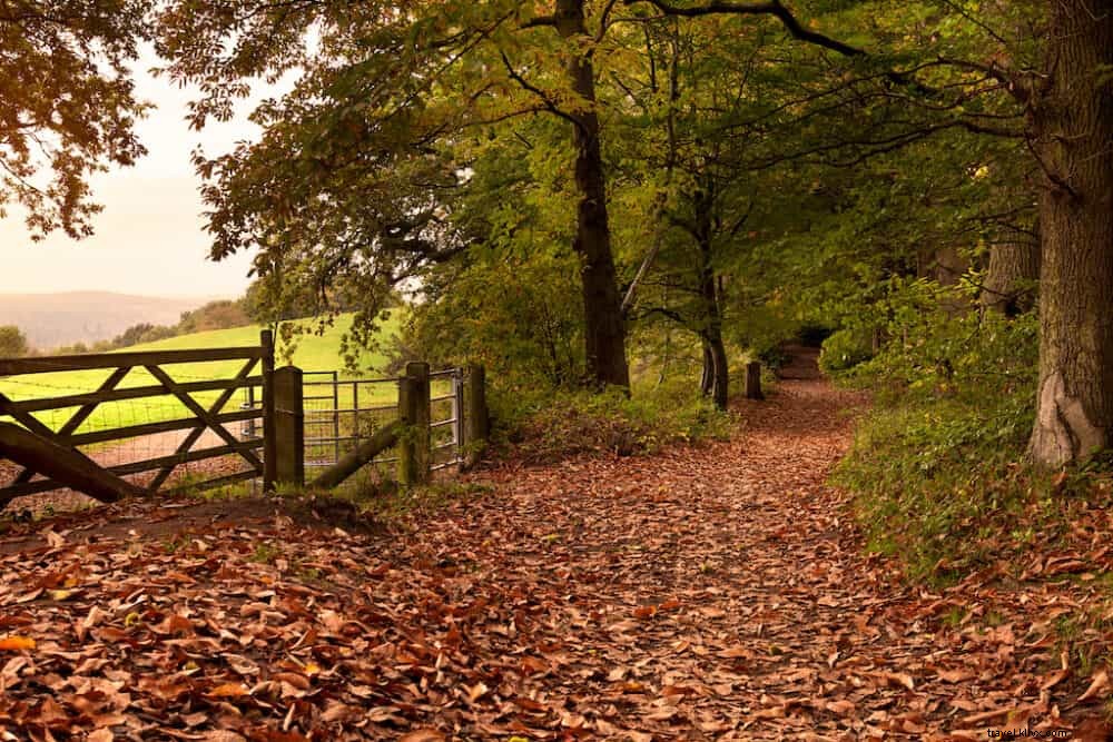 20 Best Places to Visit in the UK This Autumn: Stunning Fall Foliage and Scenic Spots