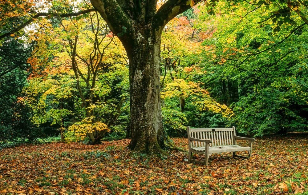 20 Best Places to Visit in the UK This Autumn: Stunning Fall Foliage and Scenic Spots
