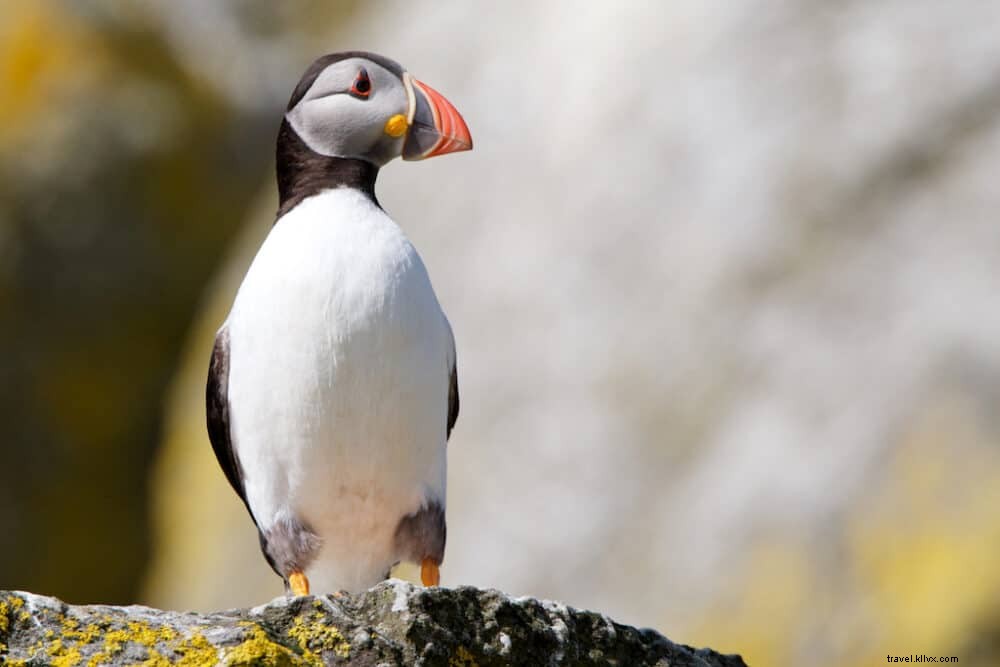 Discover the Outer Hebrides: 10 Stunning Destinations You Can t Miss