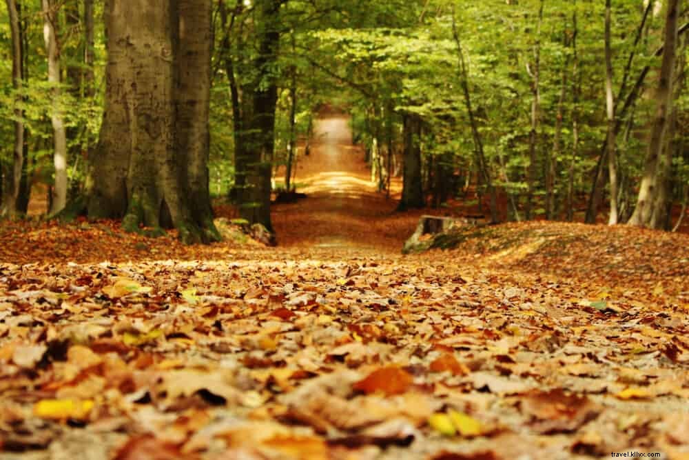 Discover Belgium’s 20 Most Beautiful Destinations