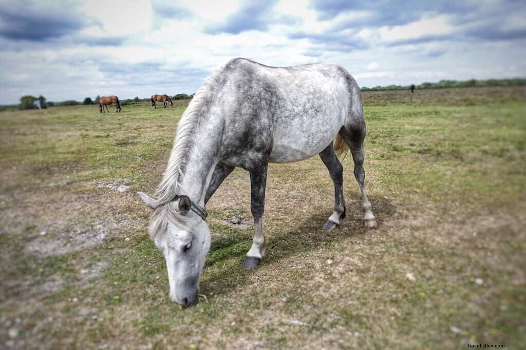 Explore the UK: 25 Stunning Destinations You Must Visit