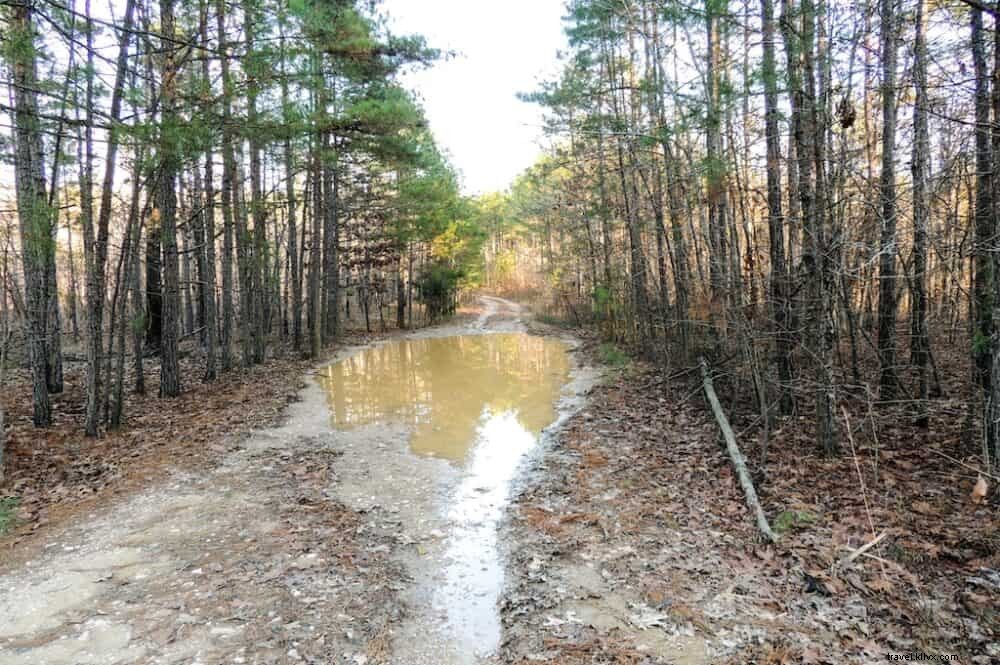 Explore Arkansas: 15 Stunning Destinations Worth Visiting