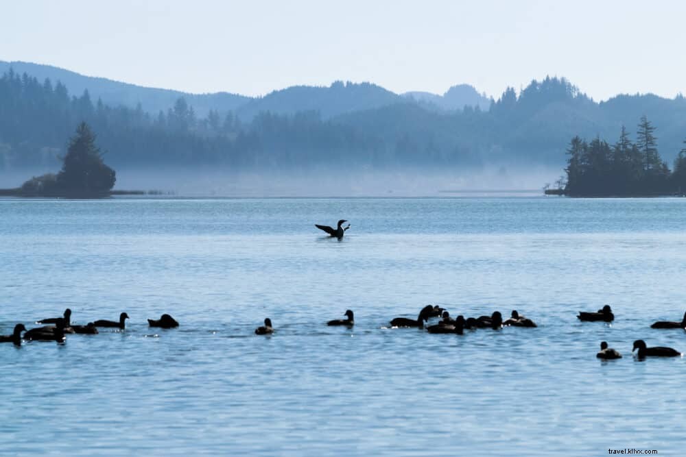 Explore Oregon: 20 Stunning Destinations You Must Visit